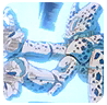 EqIco_1223